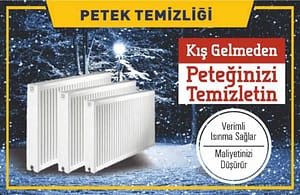 Eyüp Petek Temizleme